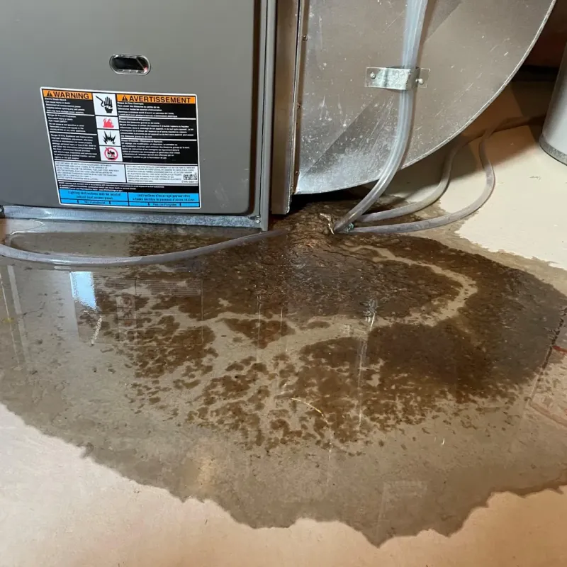 Appliance Leak Cleanup in Appomattox County, VA